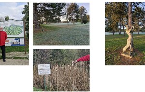 COMPETITION UGOLF VILLENES 18/11