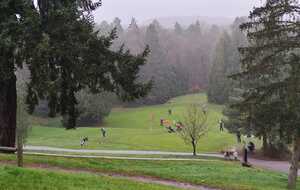 UGOLF COMPETITION ROCHEFORT